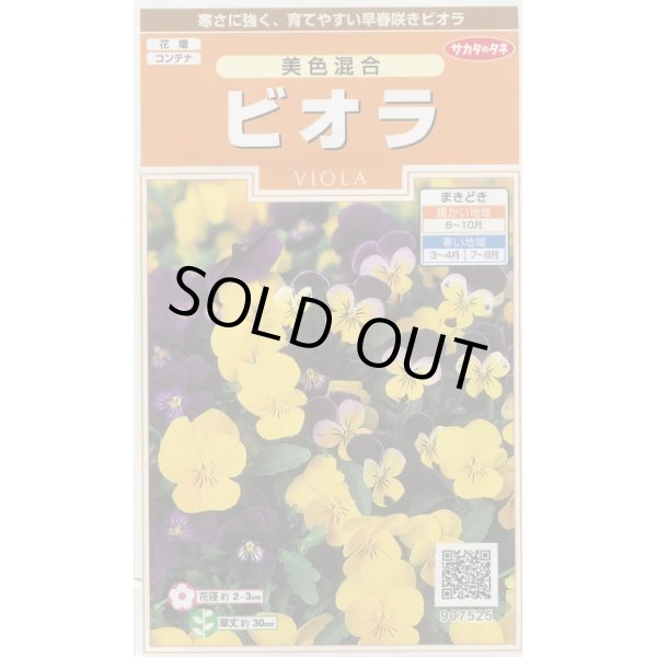 画像1: 花の種　　ビオラ　美色混合　約58粒 　サカタのタネ（株）実咲200 (1)