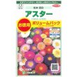 画像1: 送料無料　花の種　アスター　松本混合　ボリュームパック　約558粒　(株)サカタのタネ　実咲500（026378） (1)