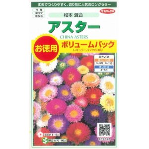 画像: 花の種　アスター　松本混合　ボリュームパック　約558粒　サカタのタネ（株）実咲500