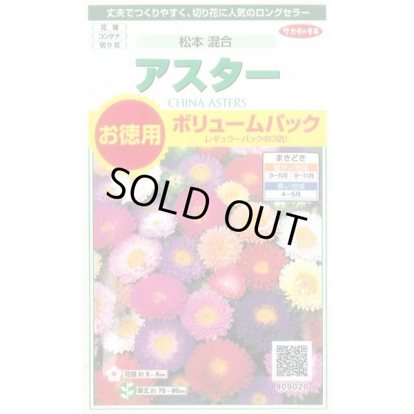 画像1: 花の種 アスター 松本混合 ボリュームパック 約558粒 (株)サカタのタネ 実咲500（026378） (1)
