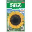 画像1: 花の種　ひまわり　かがやき 　約14粒　サカタのタネ（株）実咲250 (1)