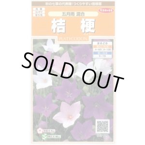 画像: 送料無料　花の種　桔梗　五月雨混合　約167粒　(株)サカタのタネ　実咲200（026315）