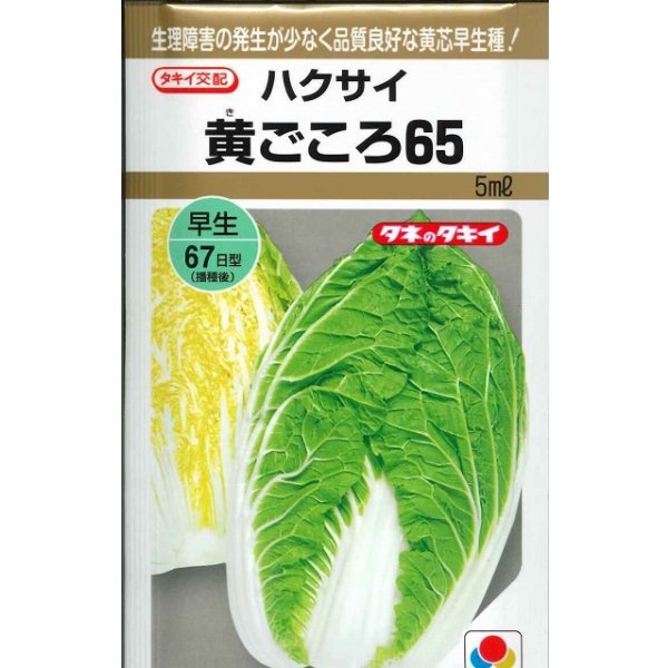 画像1: 送料無料　[白菜]　黄ごころ65　5ml　タキイ種苗(株) (1)