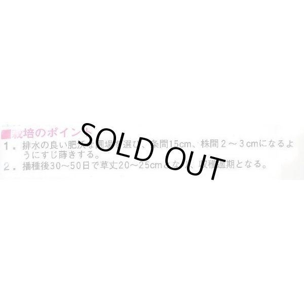 画像3: 送料無料　二コル　ルッコラ　1L　渡辺農事（株） (3)