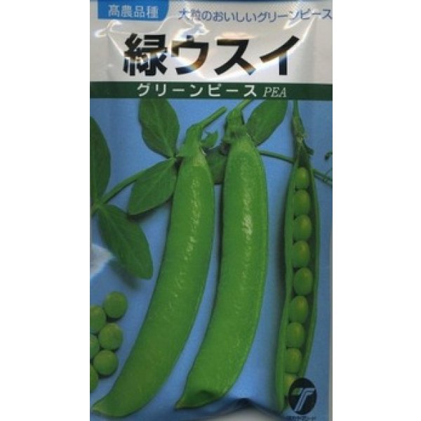 画像1: 送料無料　[グリーンピース]　緑ウスイ　1dl　(株)タカヤマシード (1)