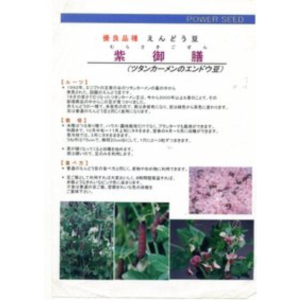 画像3: 送料無料　[えんどう]　紫御膳　10ml　(株)タカヤマシード (3)