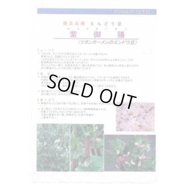 画像3: 送料無料　[えんどう]　紫御膳　10ml　(株)タカヤマシード (3)