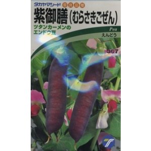 画像: 送料無料　[えんどう]　紫御膳　10ml　(株)タカヤマシード