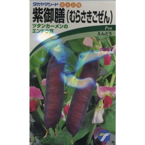 画像1: 送料無料　[えんどう]　紫御膳　10ml　(株)タカヤマシード (1)