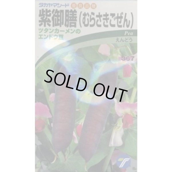 画像1: 送料無料　[えんどう]　紫御膳　10ml　(株)タカヤマシード (1)