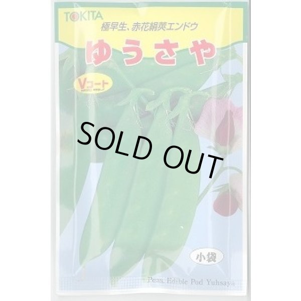 画像1: 送料無料　[豆類]　ゆうさや　30ml　トキタ種苗(株) (1)