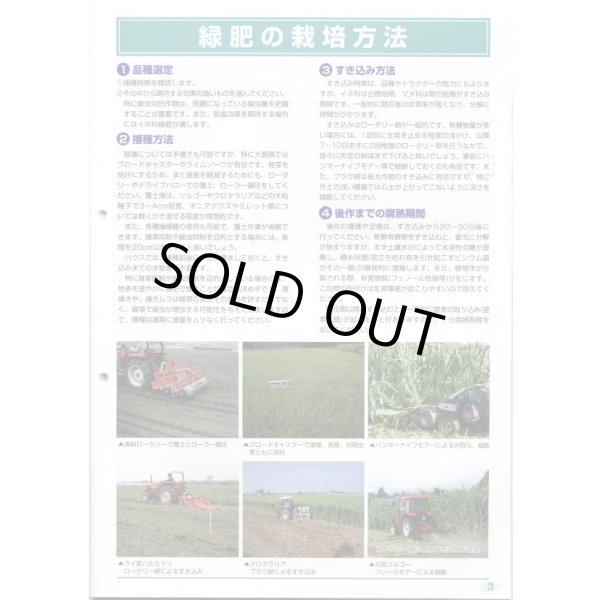 画像3: [緑肥]　ヘアリーベッチ　まめっこ　1kg　カネコ種苗(株) (3)