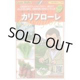 画像: [イタリア野菜] カリフローレ 50粒 トキタ種苗(株)