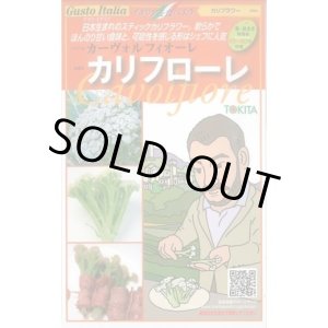画像: [イタリア野菜] カリフローレ 50粒 トキタ種苗(株)
