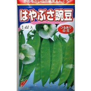 画像: [えんどう]　はやぶさ　(きぬさや)　1L　渡辺農事（株）