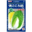 画像1: [白菜]　黄ごころ85　20ｍｌ　タキイ種苗（株） (1)