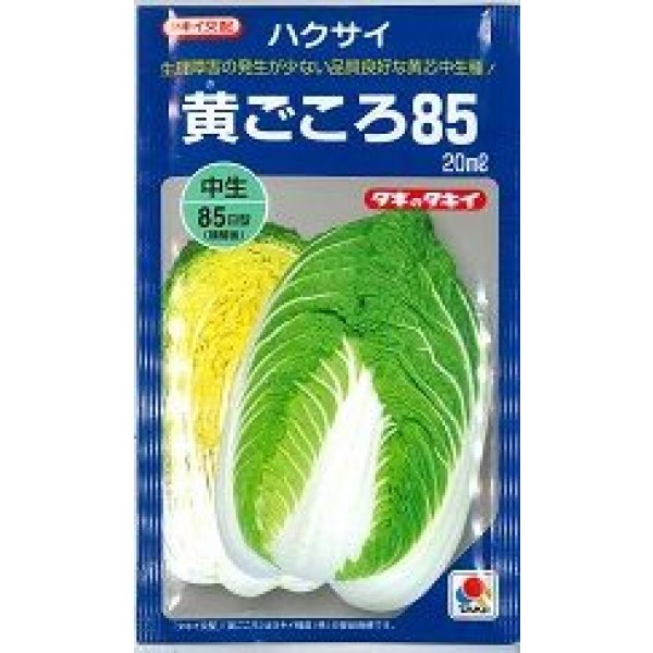画像1: 送料無料　[白菜]　黄ごころ85　20ml　タキイ種苗(株) (1)