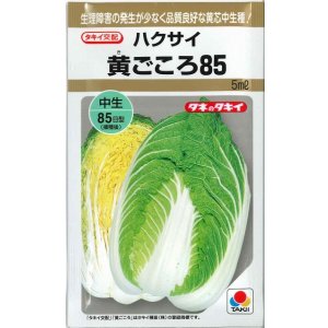 画像: 送料無料　[白菜]　黄ごころ85　5ml　タキイ種苗(株)
