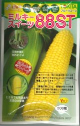 画像: 送料無料　[とうもろこし]　ミルキースイーツ88ST　200粒　トキタ種苗(株)