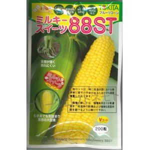 画像: 送料無料　[とうもろこし]　ミルキースイーツ88ST　200粒　トキタ種苗(株)