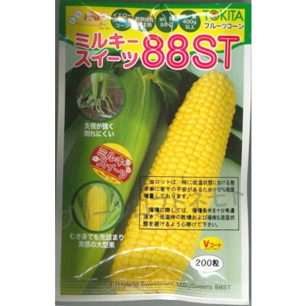 画像1: 送料無料　[とうもろこし]　ミルキースイーツ88ST　200粒　トキタ種苗(株) (1)