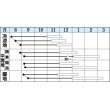 画像2: [白菜]　冬峠　20ｍｌ　タキイ種苗（株） (2)