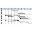 画像2: 送料無料　[白菜]　耐病六十日　2.2ml　タキイ種苗(株)　DF (2)