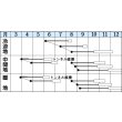 画像2: [白菜]　耐病六十日　2.2ｍｌ　タキイ種苗（株）　DF (2)