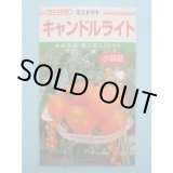 画像: 送料無料　[トマト/ミニトマト]　キャンドルライト　1000粒　カネコ種苗（株）
