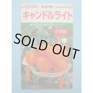 画像: 送料無料　[トマト/ミニトマト]　キャンドルライト　1000粒　カネコ種苗（株）
