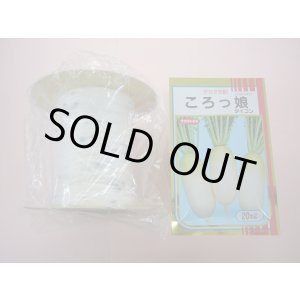 画像: [シーダー種子]　大根　ころっ娘　1粒×25cm×200m