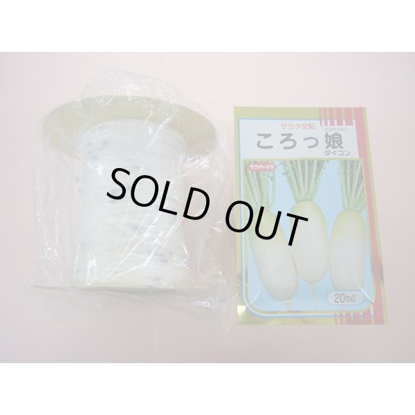 画像1: [シーダー種子]　大根　ころっ娘　1粒×25cm×200m (1)