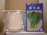 画像: [シーダー種子]　小松菜　菜々美　1粒×5cm　間隔