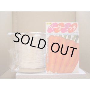 画像: [シーダー種子]　にんじん　ベーターリッチ　1粒×6cm間隔