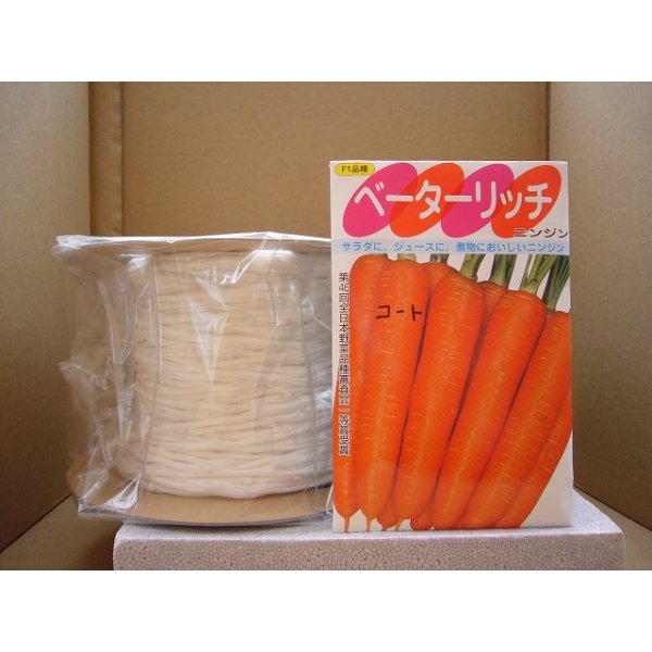 画像1: [シーダー種子]　にんじん　ベーターリッチ　1粒×6cm間隔 (1)