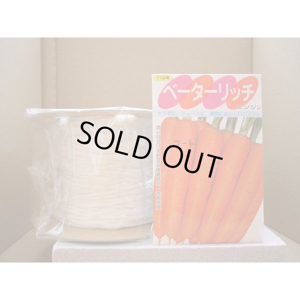 画像1: [シーダー種子]　にんじん　ベーターリッチ　1粒×6cm間隔 (1)