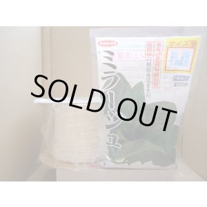 画像: [シーダー種子]　ほうれんそう　ミラージュ　1粒×5cm間隔