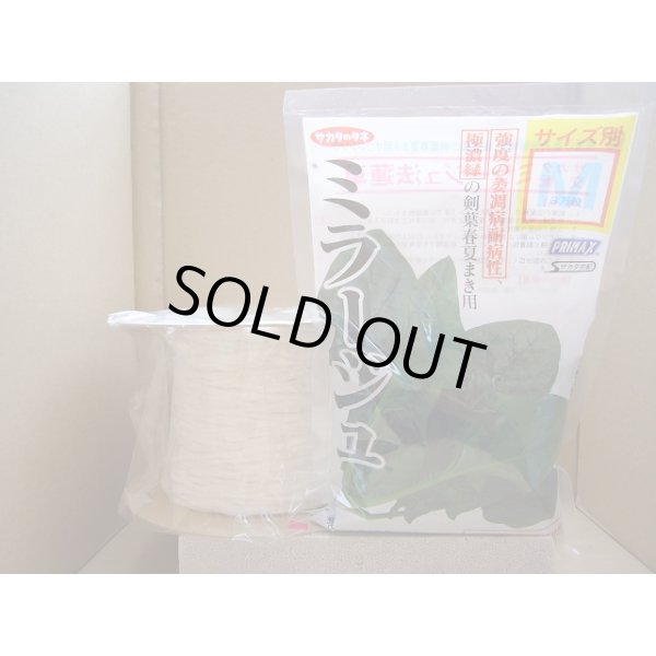 画像1: [シーダー種子]　ほうれんそう　ミラージュ　1粒×5cm間隔 (1)