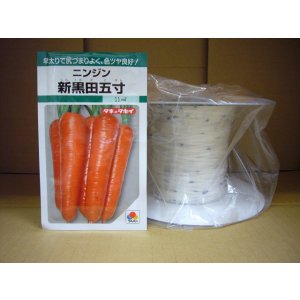 画像: [シーダー種子]　人参　新黒田五寸　1粒×5cm間隔
