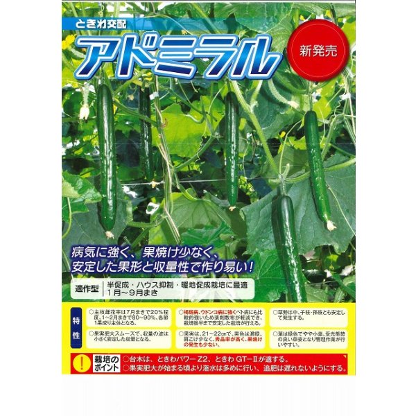 画像2: 送料無料　[キュウリ]　アドミラル　350粒　(株)ときわ研究場 (2)