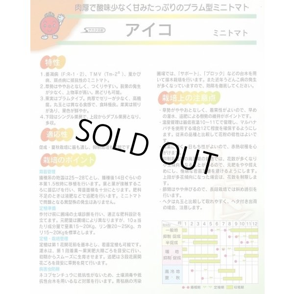 画像6: [トマト/ミニトマト]　アイコ　2L　ペレット種子　200粒　(株)サカタのタネ (6)