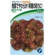 画像1: [葉物]　赤丸サラダ菜　小袋　1.5ml    （株）タカヤマシード (1)