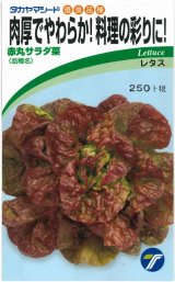 画像: [葉物]　赤丸サラダ菜　小袋　1.5ml    （株）タカヤマシード