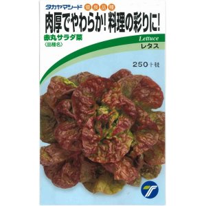 画像: [葉物]　赤丸サラダ菜　小袋　1.5ml    （株）タカヤマシード