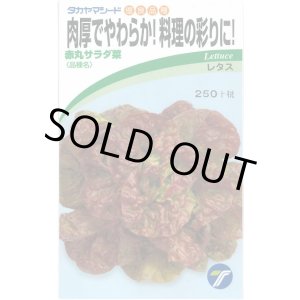 画像: 送料無料　[葉物]　赤丸サラダ菜　小袋　1.5ml　(株)タカヤマシード