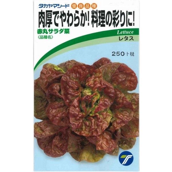 画像1: 送料無料　[葉物]　赤丸サラダ菜　小袋　1.5ml　(株)タカヤマシード (1)
