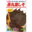 画像1: 送料無料　[葉物]　赤しそ　赤丸葉しそ　5ml　松永種苗(株) (1)