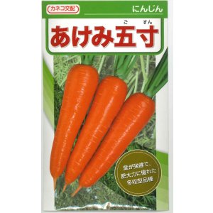 画像: [人参]　あけみ五寸　2dl貴種(コートしてません)　カネコ種苗（株）