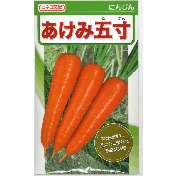 画像1: 送料無料　[人参]　あけみ五寸　20ml　カネコ種苗（株） (1)