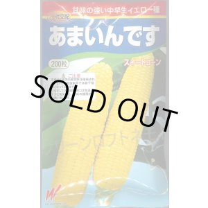 画像: 送料無料　[とうもろこし]　あまいんです　200粒　渡辺農事(株)